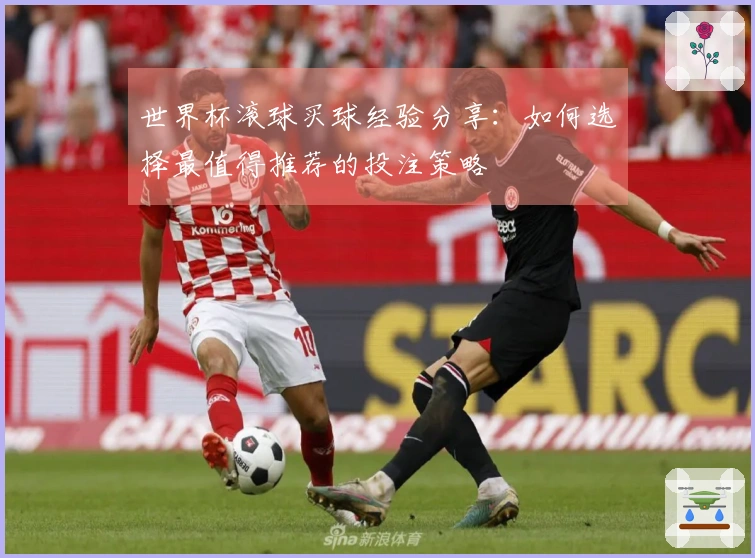 世界杯滚球买球经验分享：如何选择最值得推荐的投注策略