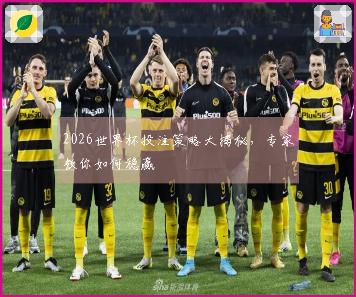 2026世界杯投注策略大揭秘，专家教你如何稳赢
