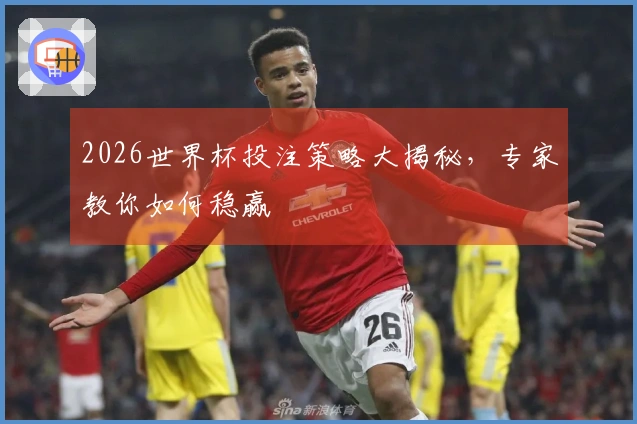 2026世界杯投注策略大揭秘，专家教你如何稳赢