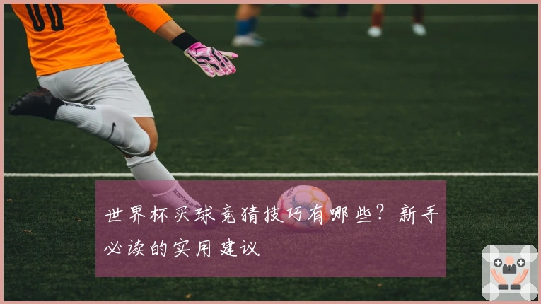 世界杯买球竞猜技巧有哪些？新手必读的实用建议